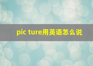 pic ture用英语怎么说